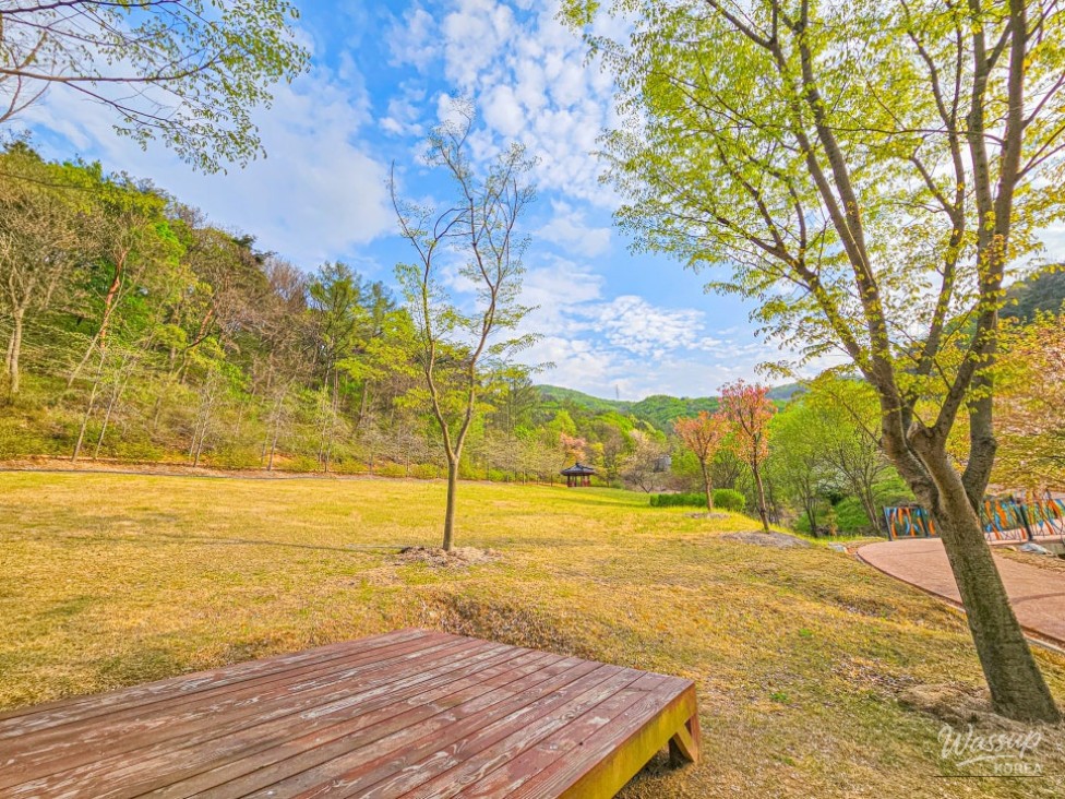 Exploring the Healing Forest of Saenggeo Jincheon_18