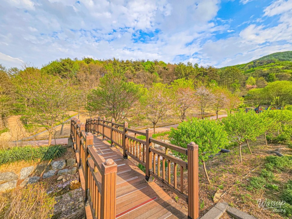 Exploring the Healing Forest of Saenggeo Jincheon_17