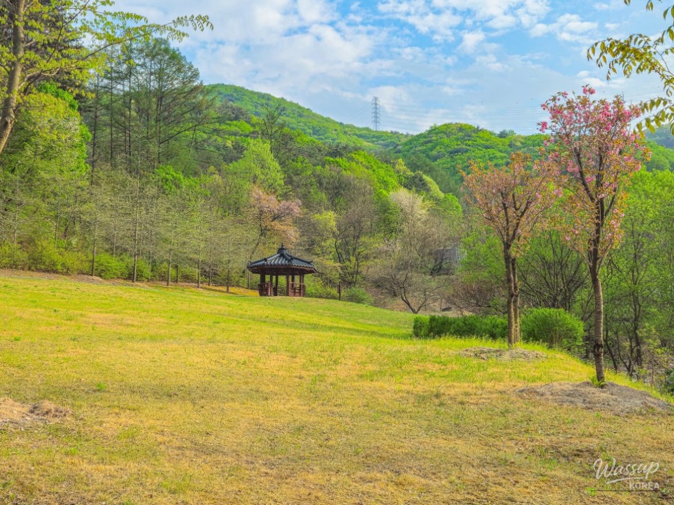 Exploring the Healing Forest of Saenggeo Jincheon_19