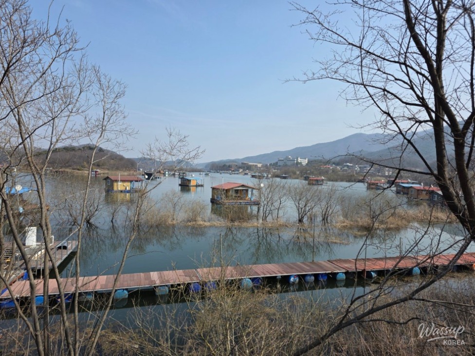 Exploring Jincheon Chopyeongho: A Perfect Spot for Relaxing Walks_08