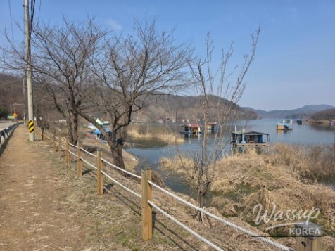 Exploring Jincheon Chopyeongho: A Perfect Spot for Relaxing Walks_14