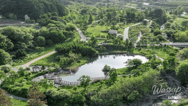 Exploring the Hidden Gems of Bonghwa in Spring_03