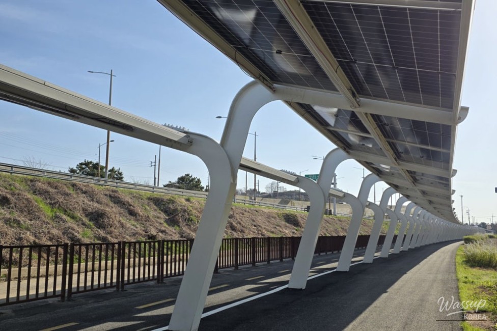 The Value of Shade and Carbon Neutrality: A Green Future on Two Wheels_03