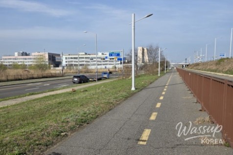 The Value of Shade and Carbon Neutrality: A Green Future on Two Wheels_07