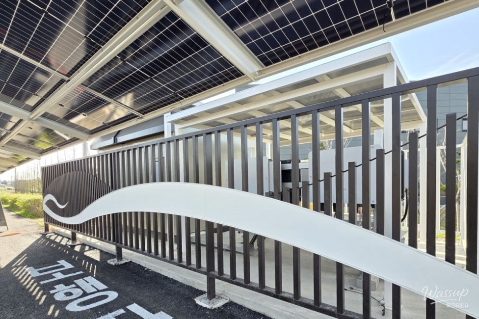 The Value of Shade and Carbon Neutrality: A Green Future on Two Wheels_06