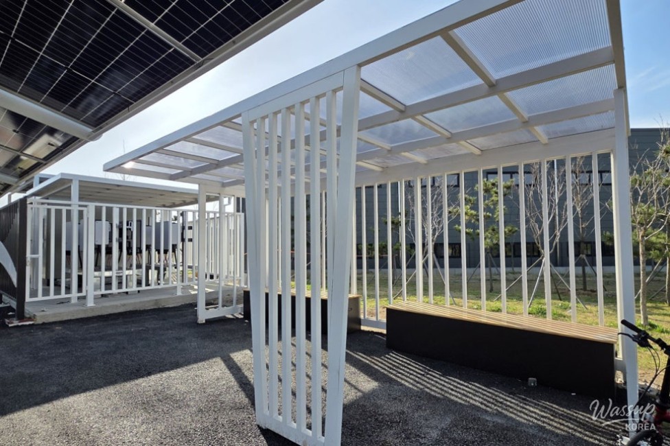 The Value of Shade and Carbon Neutrality: A Green Future on Two Wheels_09