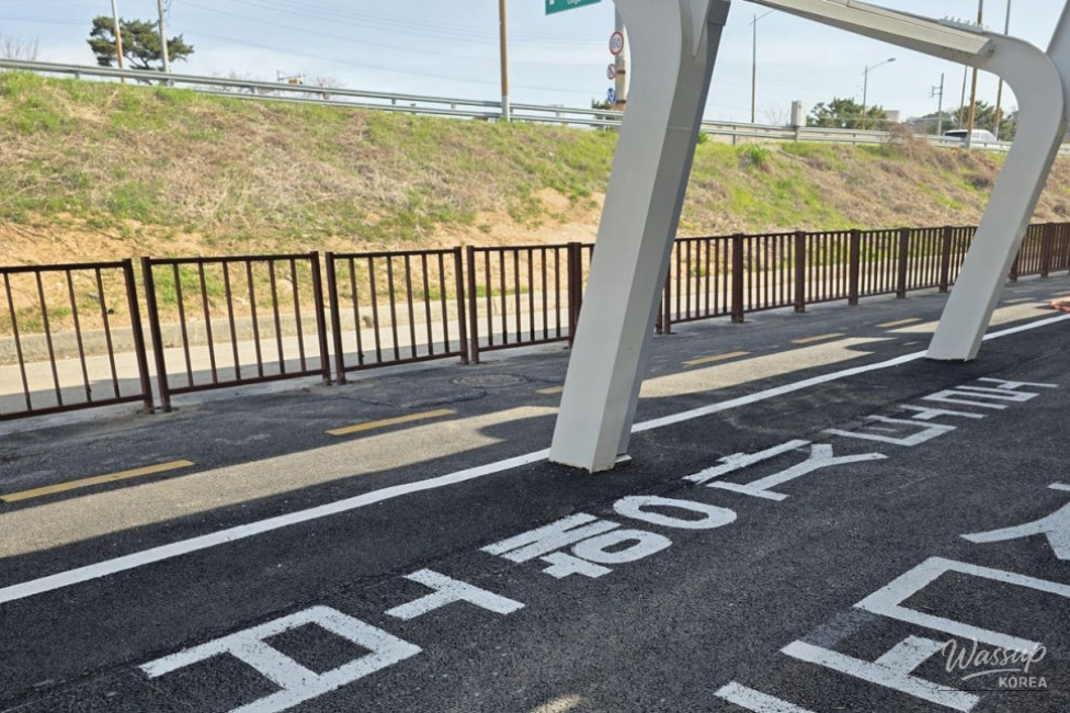 The Value of Shade and Carbon Neutrality: A Green Future on Two Wheels_10