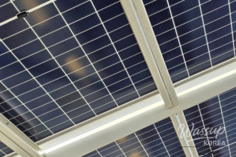 The Value of Shade and Carbon Neutrality: A Green Future on Two Wheels_05