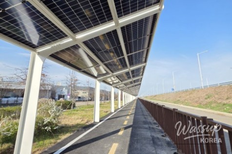 The Value of Shade and Carbon Neutrality: A Green Future on Two Wheels_08