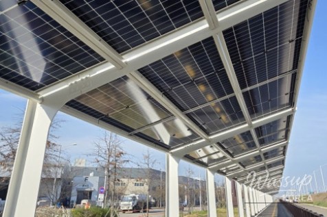 The Value of Shade and Carbon Neutrality: A Green Future on Two Wheels_04