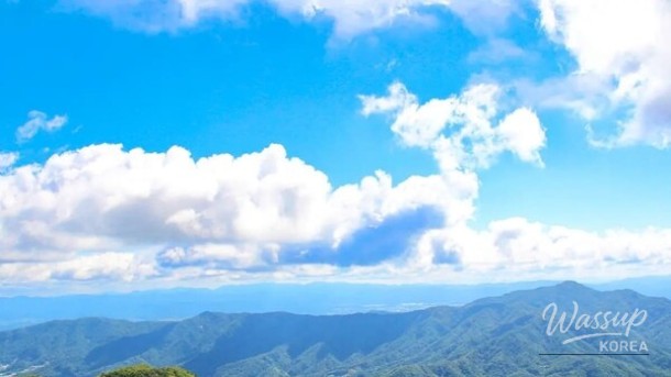 The Enchanting Charm of Palgongsan Gatbawi in April_03