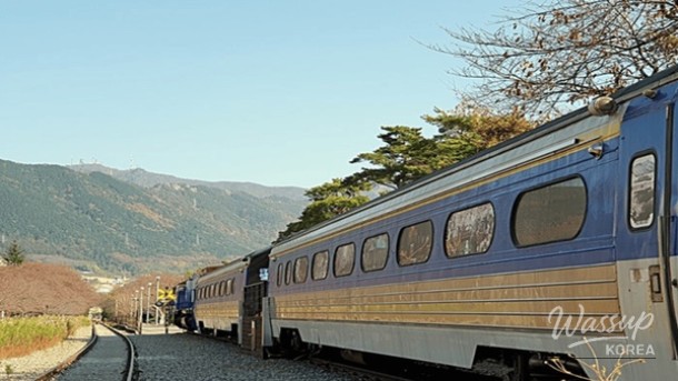 Spring Travel Destinations in Changwon_02