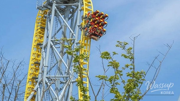 Spring Travel Destinations in Changwon_05