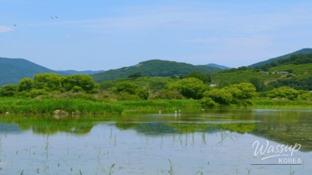 Spring Getaways in Gimhae_02