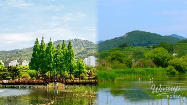 Spring Getaways in Gimhae_01