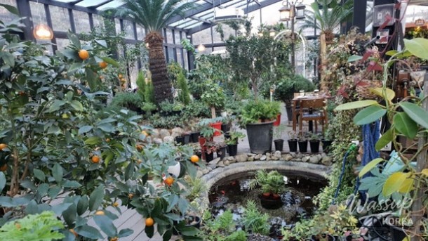 Discover the Hidden Gem of Unis Garden in Ansan_02