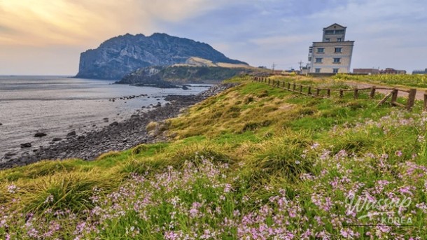 Spring Getaways Near Seoul: Top 4 Destinations_02