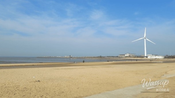 Spring Getaways Near Seoul: Top 4 Destinations_04