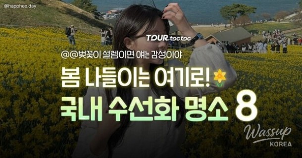 A Comprehensive Guide to the Best Daffodil Spots in Korea for Spring 2026_01