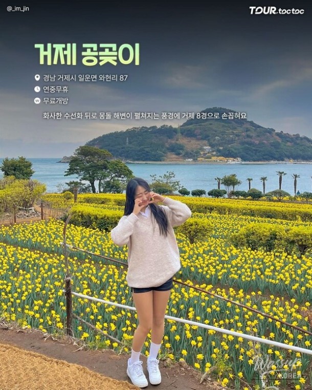 A Comprehensive Guide to the Best Daffodil Spots in Korea for Spring 2026_06