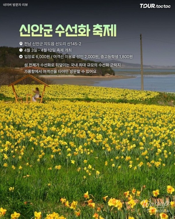 A Comprehensive Guide to the Best Daffodil Spots in Korea for Spring 2026_09
