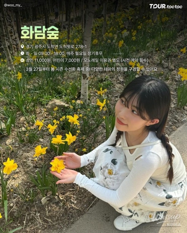 A Comprehensive Guide to the Best Daffodil Spots in Korea for Spring 2026_04