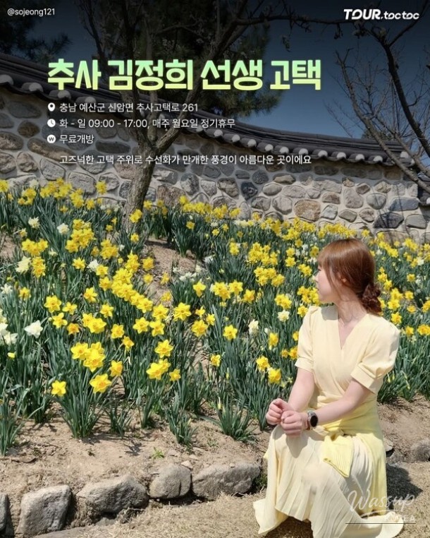 A Comprehensive Guide to the Best Daffodil Spots in Korea for Spring 2026_07
