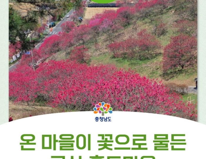 The Vibrant Spring of Hongdo Village float