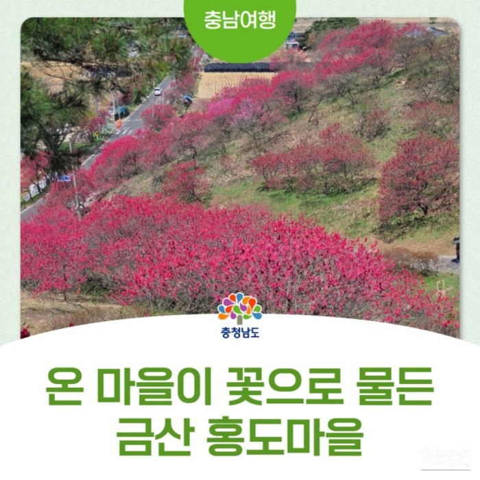 The Vibrant Spring of Hongdo Village3411