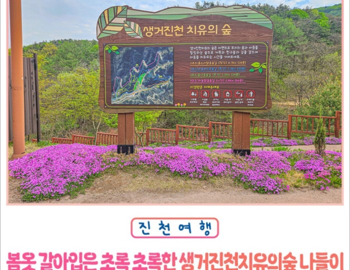 Exploring the Healing Forest of Saenggeo Jincheon float