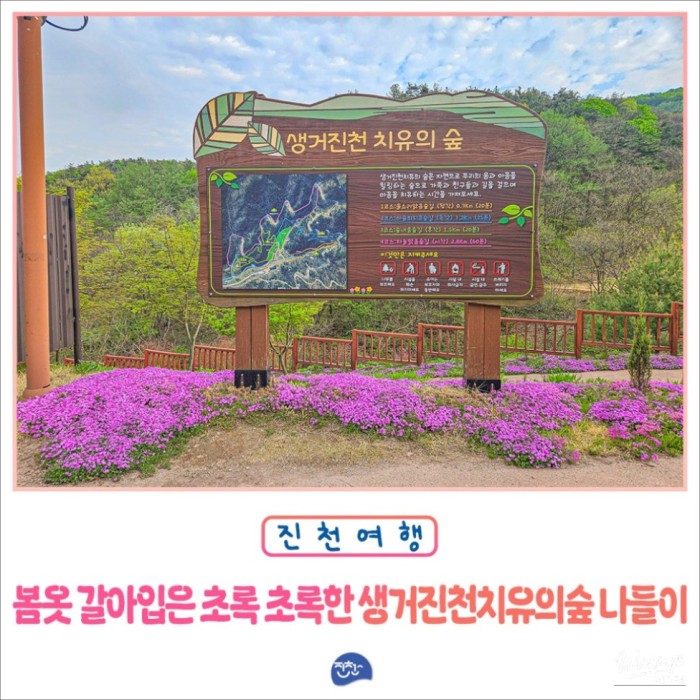 Exploring the Healing Forest of Saenggeo Jincheon3422