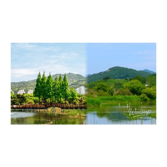 Spring Getaways in Gimhae3423