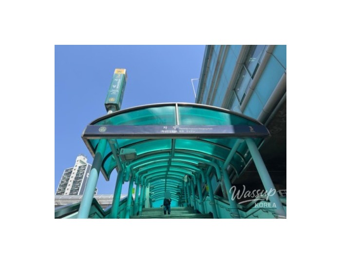 Exploring the Han River: A Cultural Adventure float