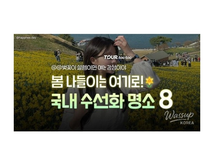 A Comprehensive Guide to the Best Daffodil Spots in Korea for Spring 2026 float