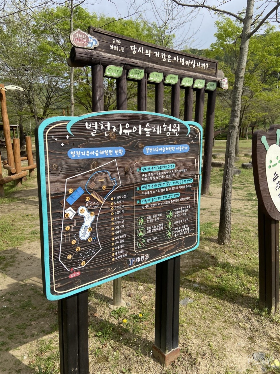 Exploring Nature at Byeolcheonjis Forest School in Jeungpyeong_04