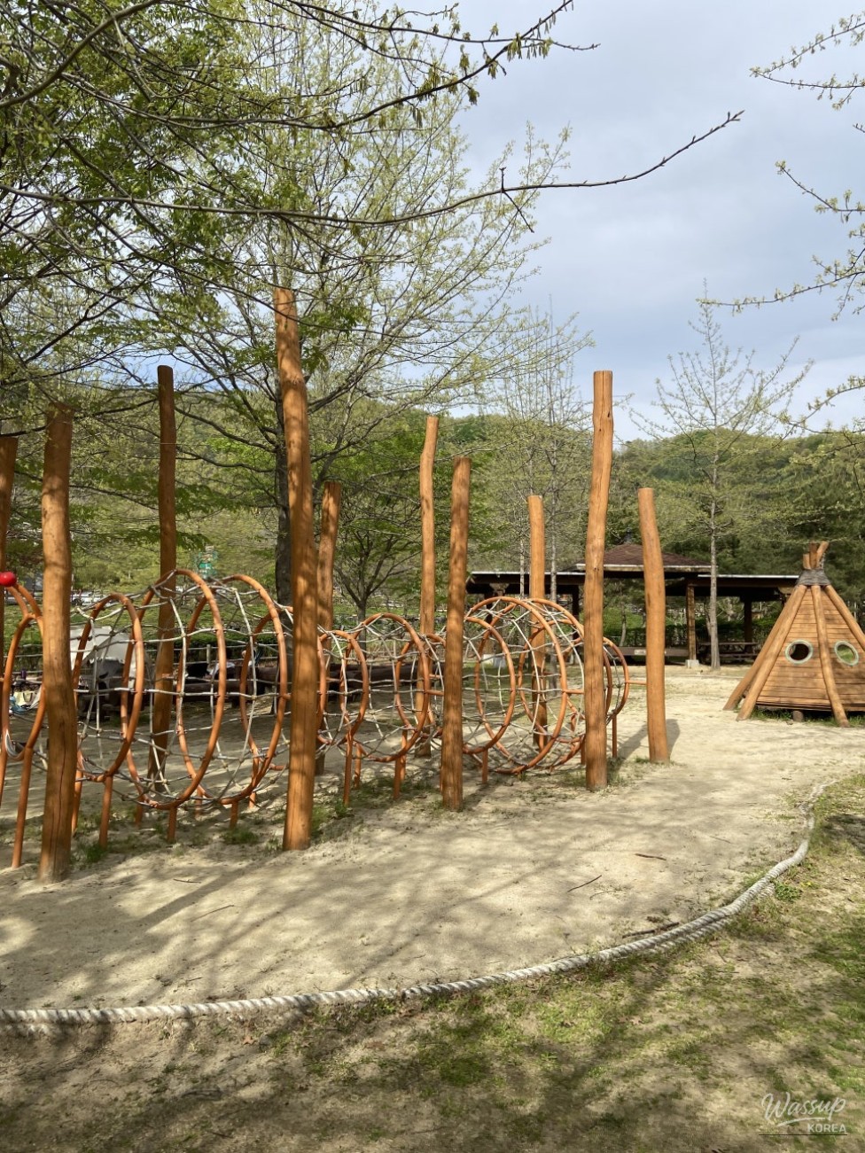 Exploring Nature at Byeolcheonjis Forest School in Jeungpyeong_06