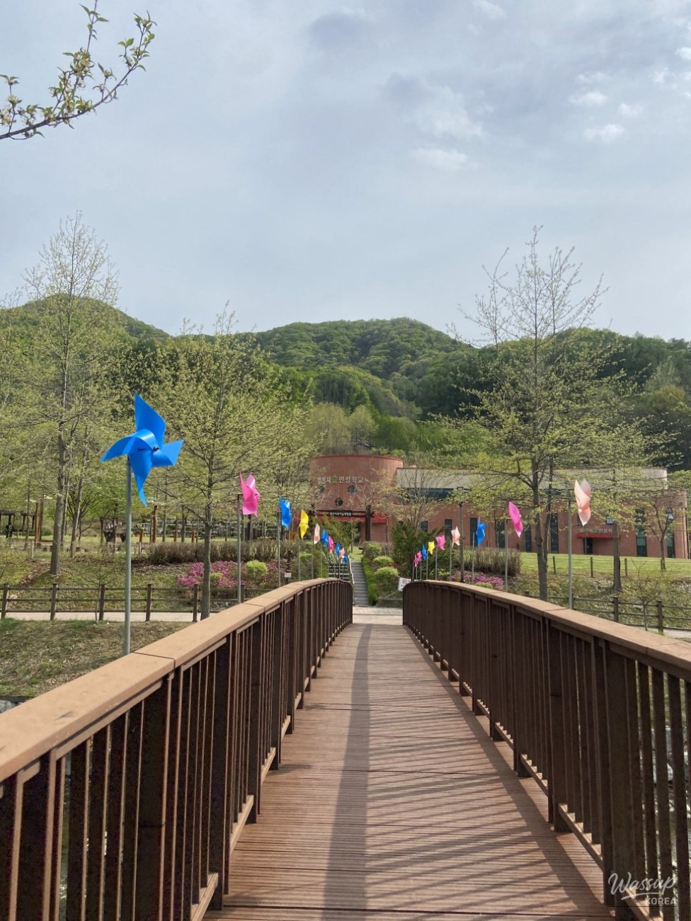 Exploring Nature at Byeolcheonjis Forest School in Jeungpyeong_03