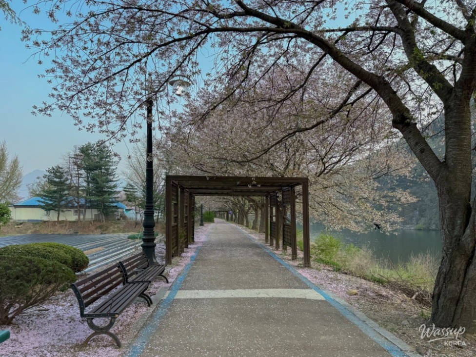 Exploring the Scenic Walking Trails of Goesan_19