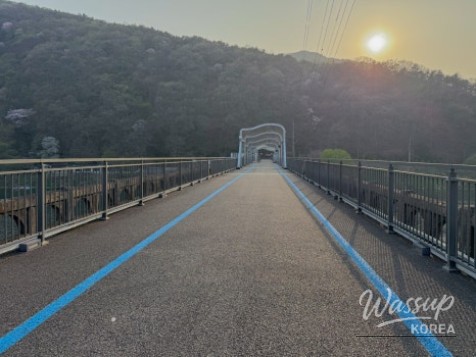 Exploring the Scenic Walking Trails of Goesan_10