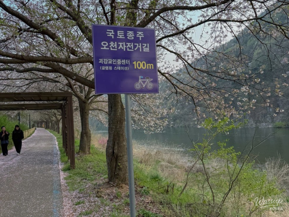 Exploring the Scenic Walking Trails of Goesan_15