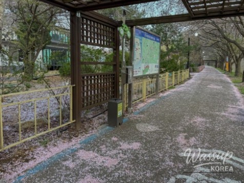 Exploring the Scenic Walking Trails of Goesan_17