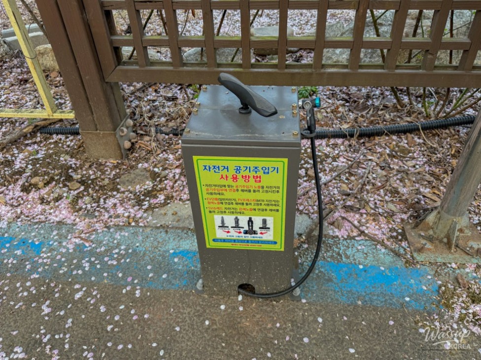 Exploring the Scenic Walking Trails of Goesan_18