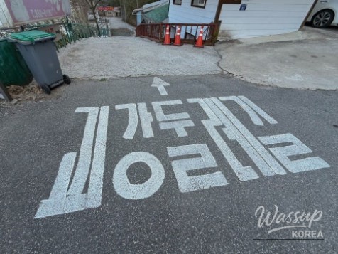 Exploring the Scenic Walking Trails of Goesan_13