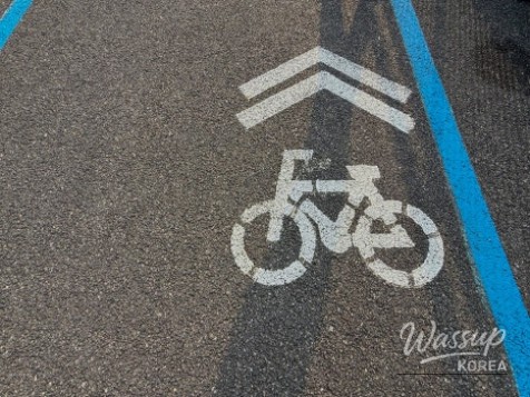 Exploring the Scenic Walking Trails of Goesan_09