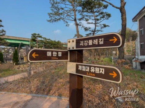 Exploring the Scenic Walking Trails of Goesan_05