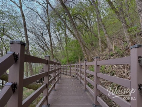 Exploring the Scenic Walking Trails of Goesan_14