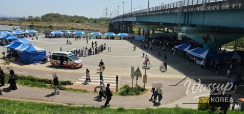 Spring Outing in Paju: Exploring the Tulip Fields_04