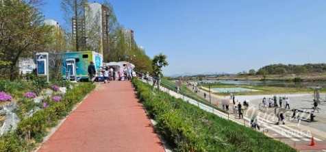 Spring Outing in Paju: Exploring the Tulip Fields_03