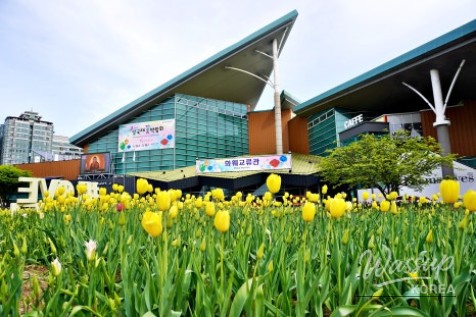 2026 Goyang International Flower Festival_03