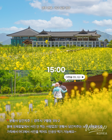 A Perfect Day Trip in Gyeongju Without a Car_05